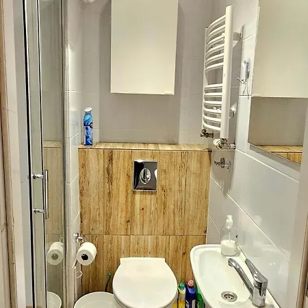 Apartament Cosy In Murowana Goślina